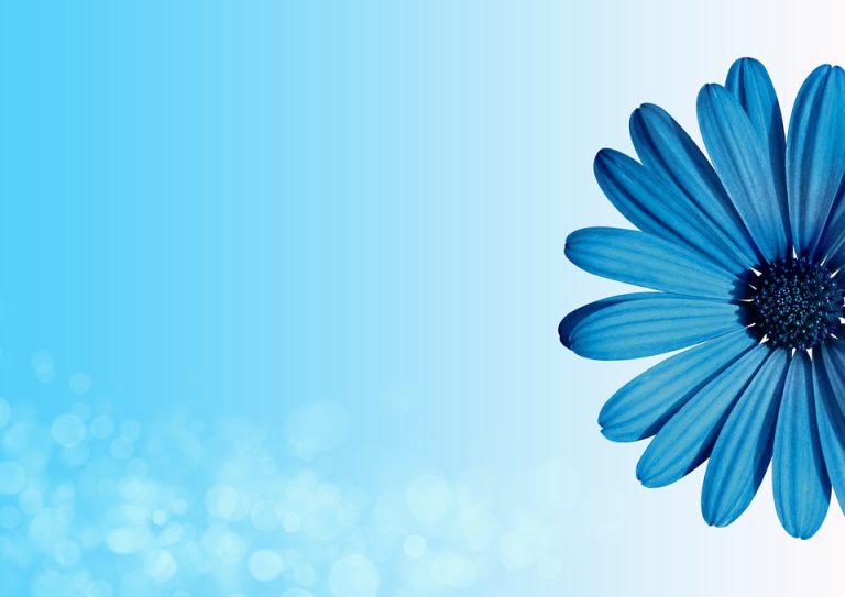 Why B-Blog Stands for Exceptional Marketing Strategy