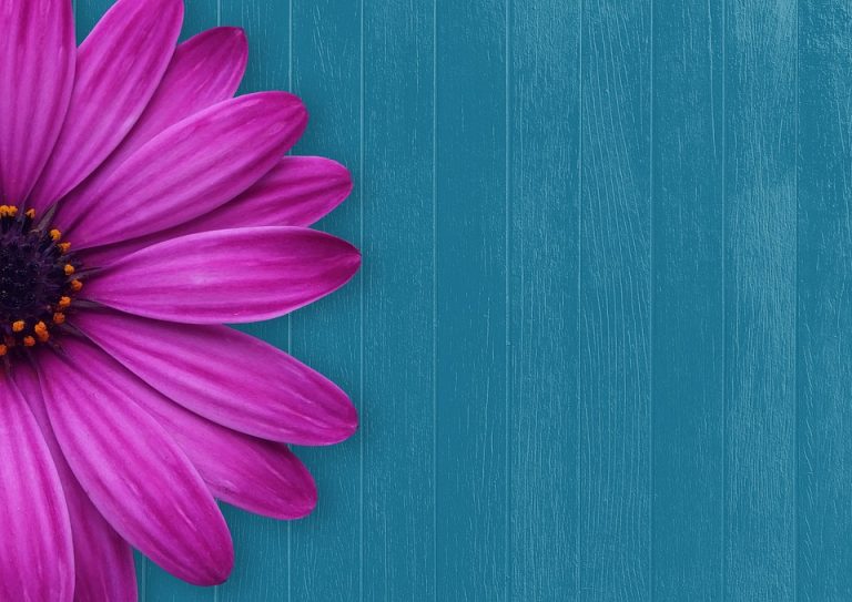 The Ultimate Guide to Crafting a Winning SEO Blog Strategy
