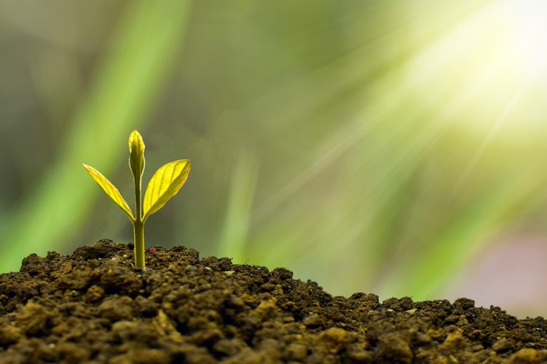 Don’t Just Survive – Thrive! Money Making Tips for Beginners to Excel Quickly