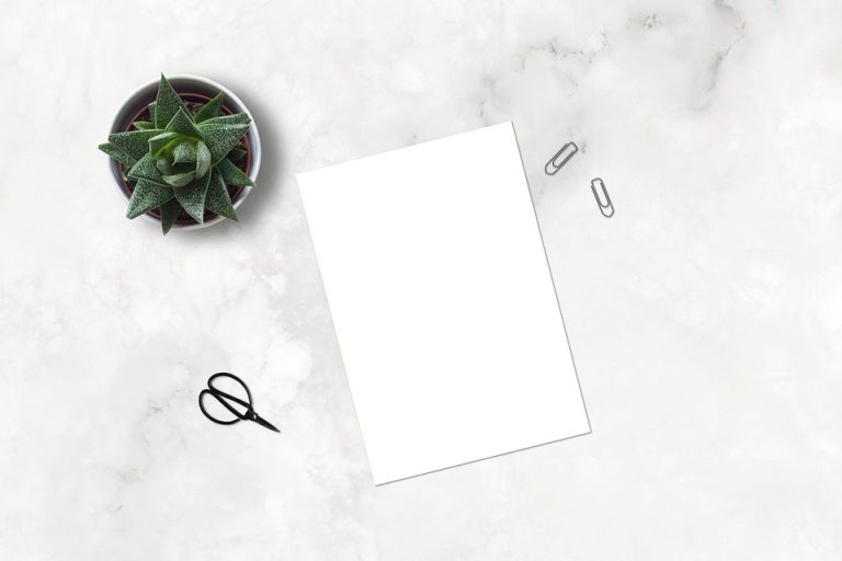 Navigating the Changing Landscape of SEO: How to Adapt Your Strategy