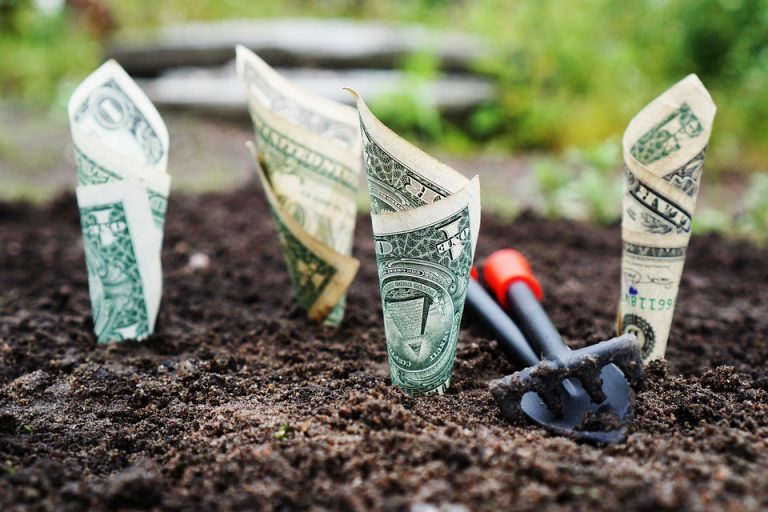 Starting from Scratch: Tips for Earning Extra Cash