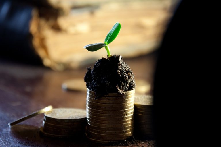 Building Your Wealth: Expert Advice on Long-Term Financial Planning.